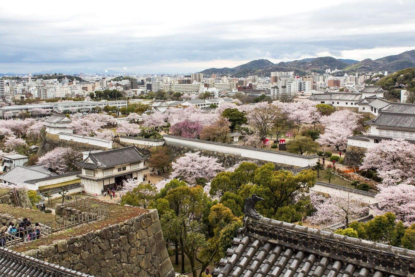 View from the Himeji Castle keep over castle walls and grounds full of blossoming cherry trees, city beyond