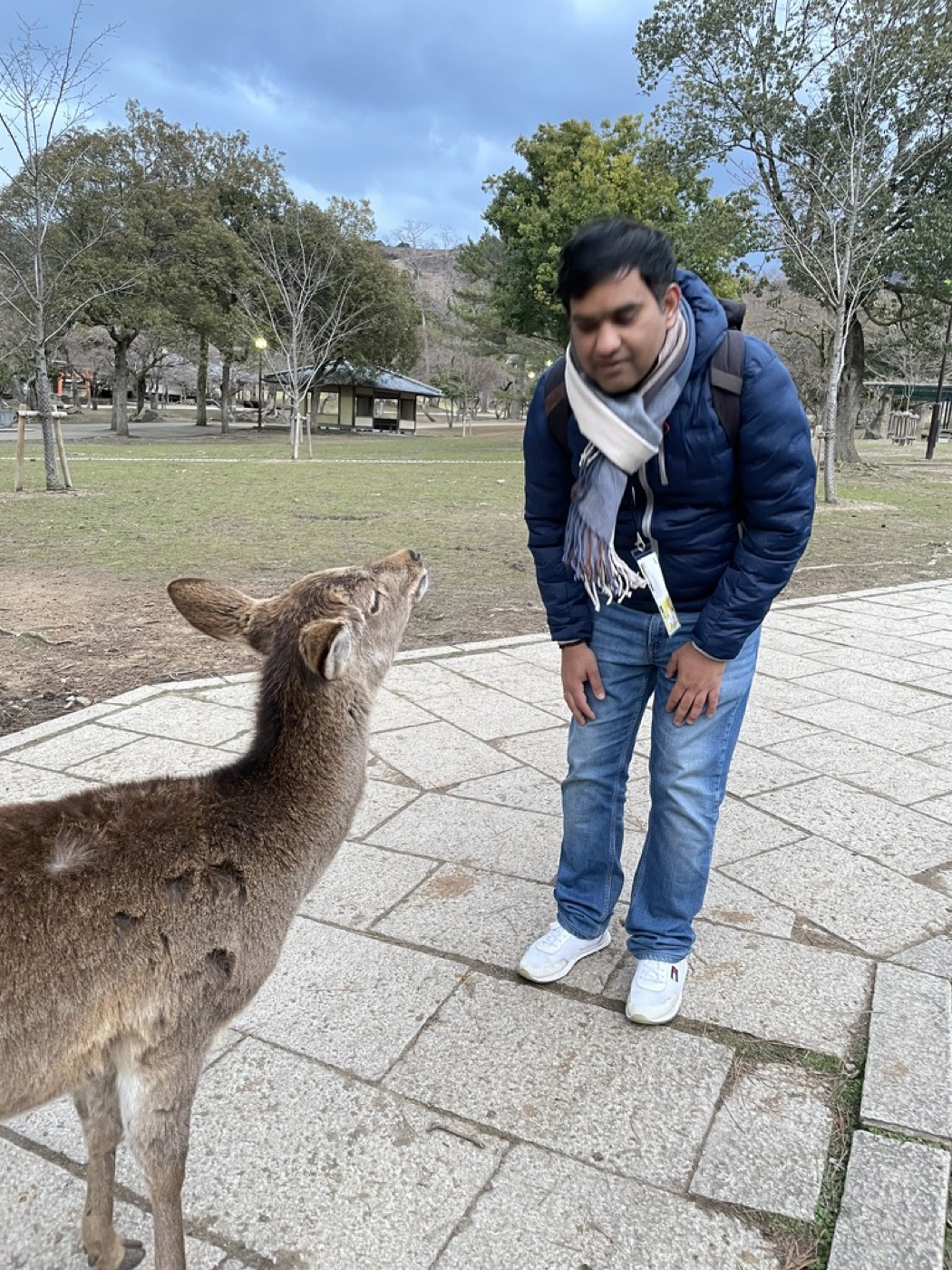 Bowing to a bowing deer in Nara Park